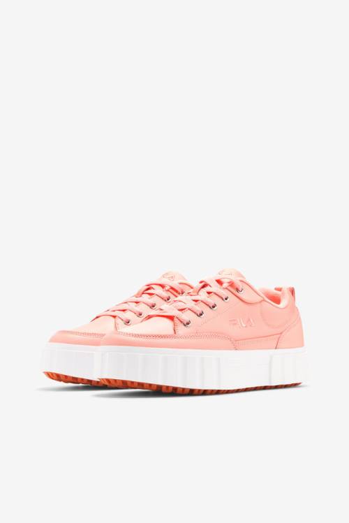 Apricot Pink / White Women's Fila Sandblast Low Sneakers | Fila986WJ