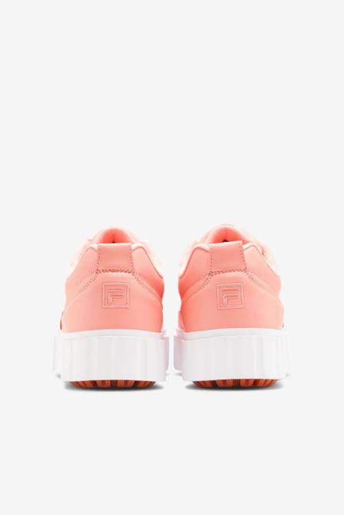 Apricot Pink / White Women's Fila Sandblast Low Sneakers | Fila986WJ