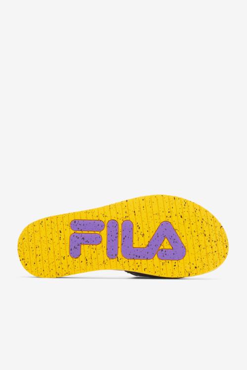 Black / Gold / Purple Men's Fila Lunar Slides | Fila586ZP