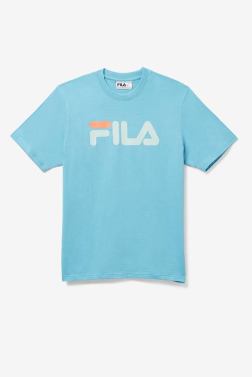 Blue Men\'s Fila Eagle Tee T Shirts | Fila027GB