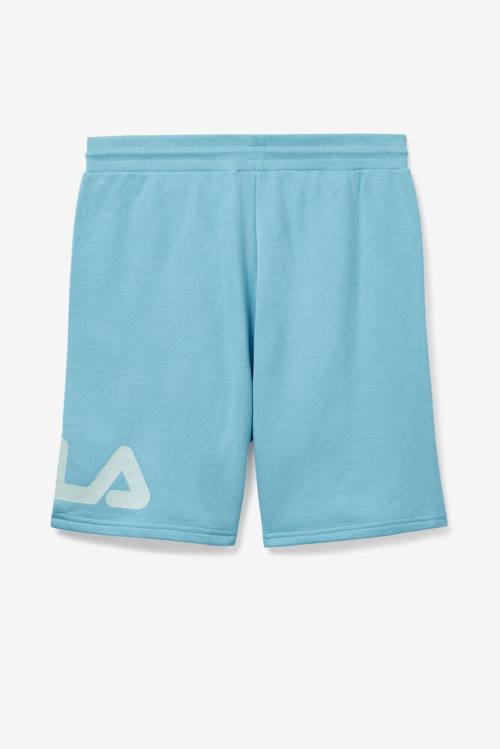 Blue Men's Fila Zeshawn Shorts | Fila963HP