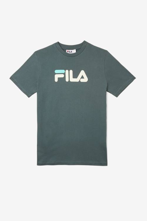 Blue Women\'s Fila Eagle Tee T Shirts | Fila263XM