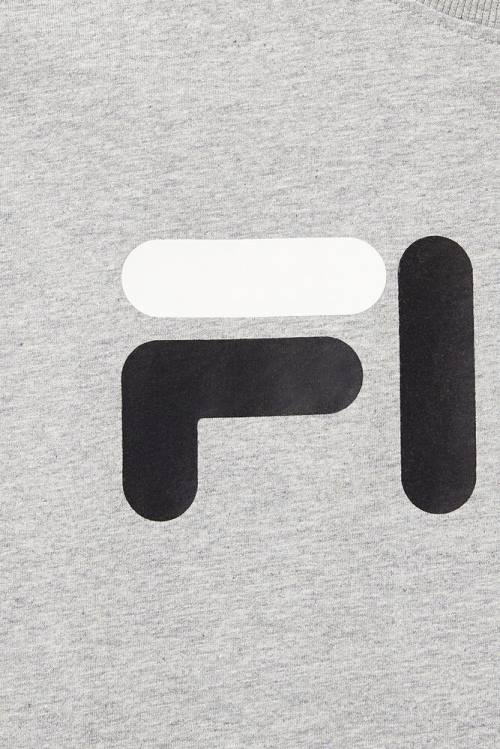 Grey Men's Fila Eagle Tee T Shirts | Fila918GH