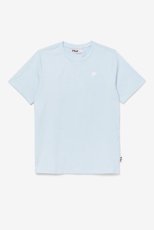 Light Blue Men\'s Fila Derion Tee T Shirts | Fila152MX