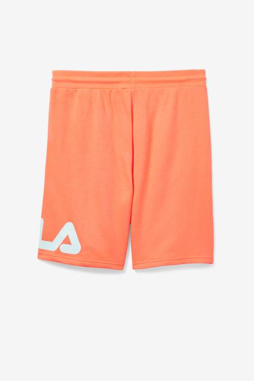 Orange Men's Fila Zeshawn Shorts | Fila548OJ