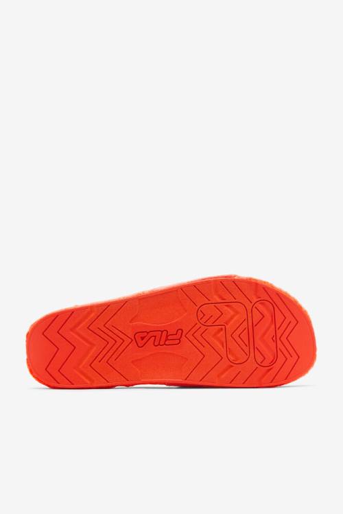 Pink / White Men's Fila Terry Drifter Slides | Fila246KX