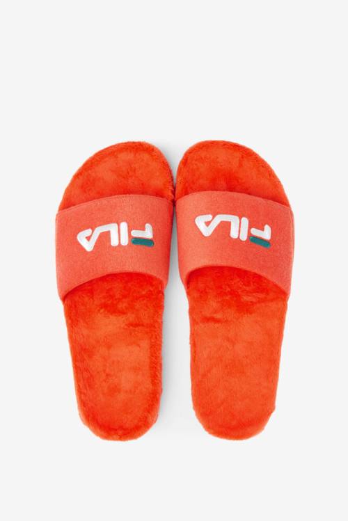 Pink / White Men's Fila Terry Drifter Slides | Fila246KX