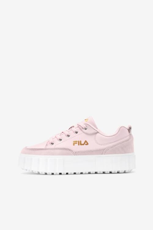 Pink / White / Metal Gold Women's Fila Sandblast Low Sneakers | Fila487FS